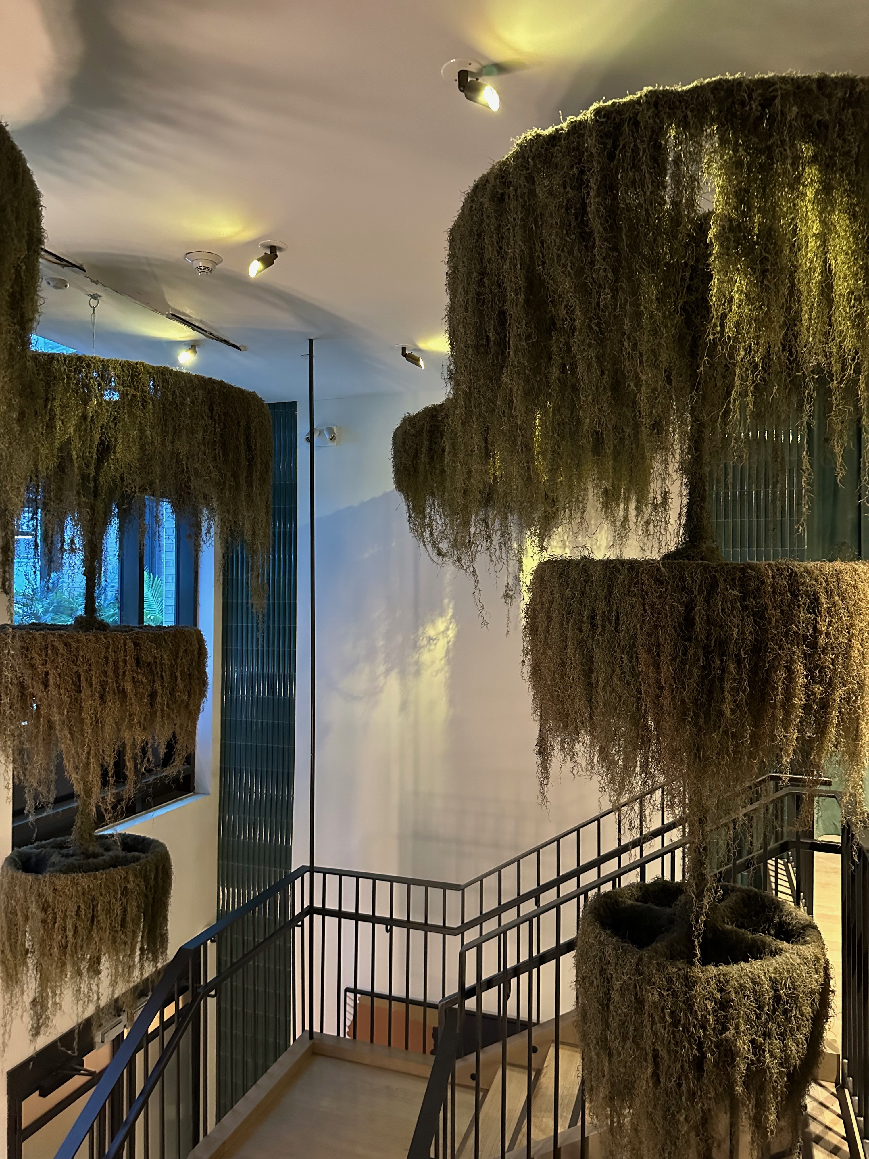 The best hotels near Peloton studios NY